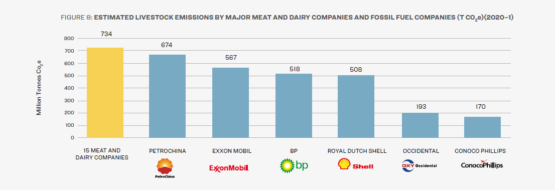 FIGURE 8: ESTIMATED LIVESTOCK EMISSIONS BY MAJOR MEAT AND DAIRY COMPANIES AND FOSSIL FUEL COMPANIES (T CO2e)(2020–1)