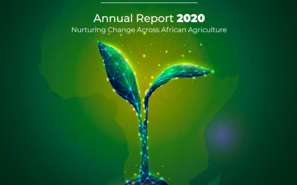 AGRA 2020 annual report