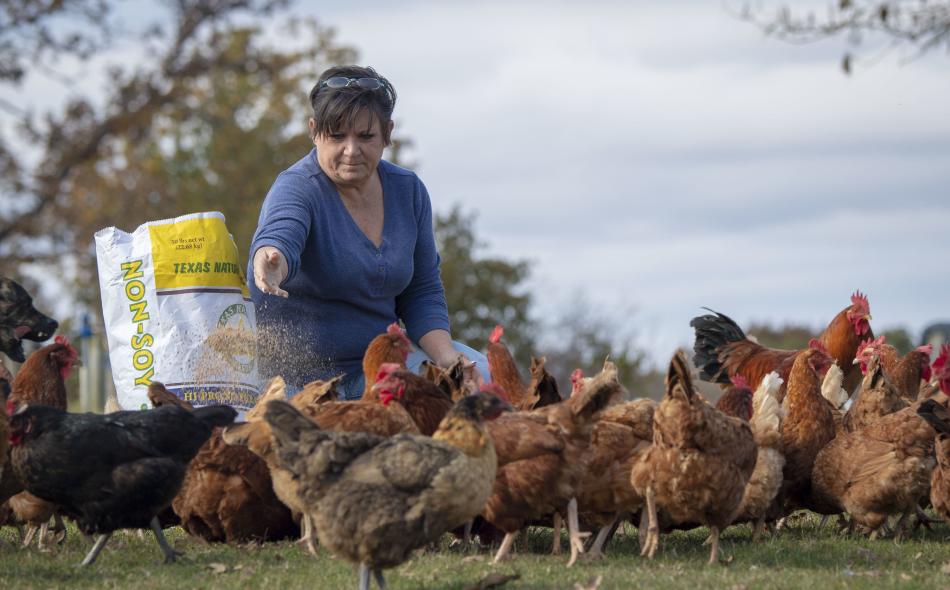 Native American farmer and retired teacher Jerri Parker grew up on in agriculture, but now she operates her diversified farm in Cromwell, Oklahoma.