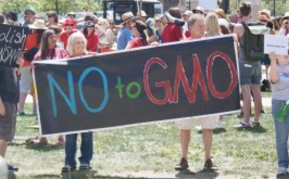 Don’t stop at the seed: Going beyond non-GMO
