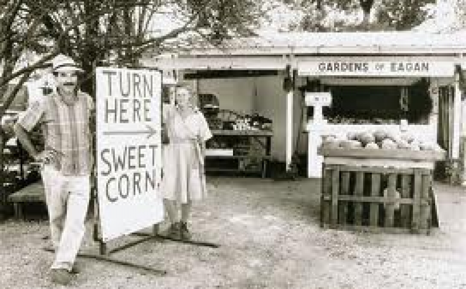 Review: Turn Here Sweet Corn: Organic Farming Works