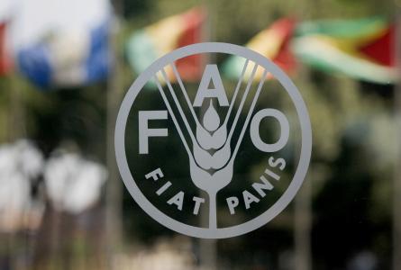 Scientists praise and challenge FAO on agroecology