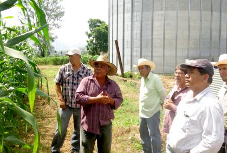 Agroecological farmers