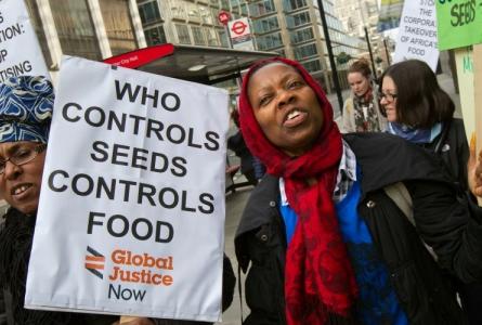 Free the Seeds Global Justice Now