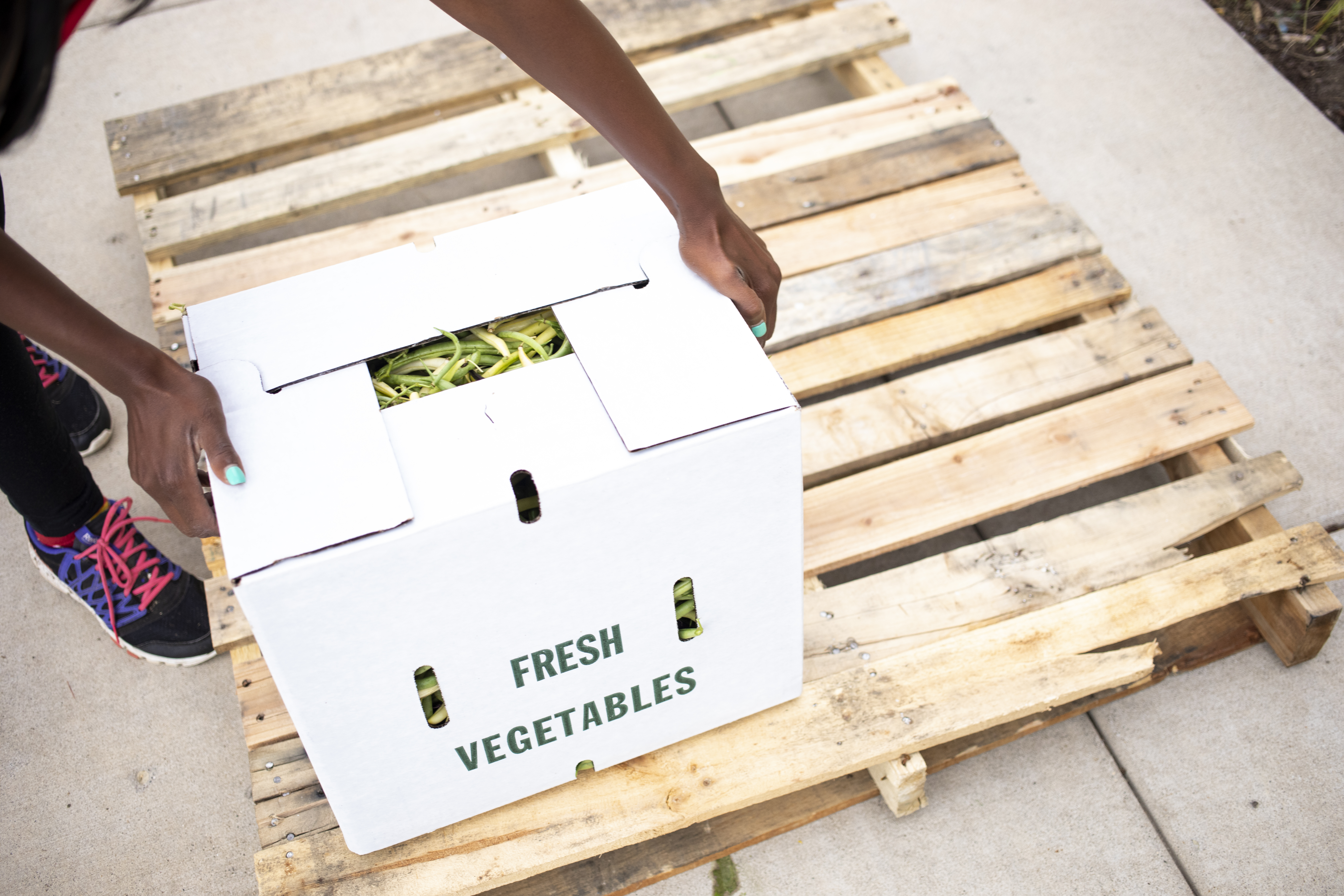 CSA box