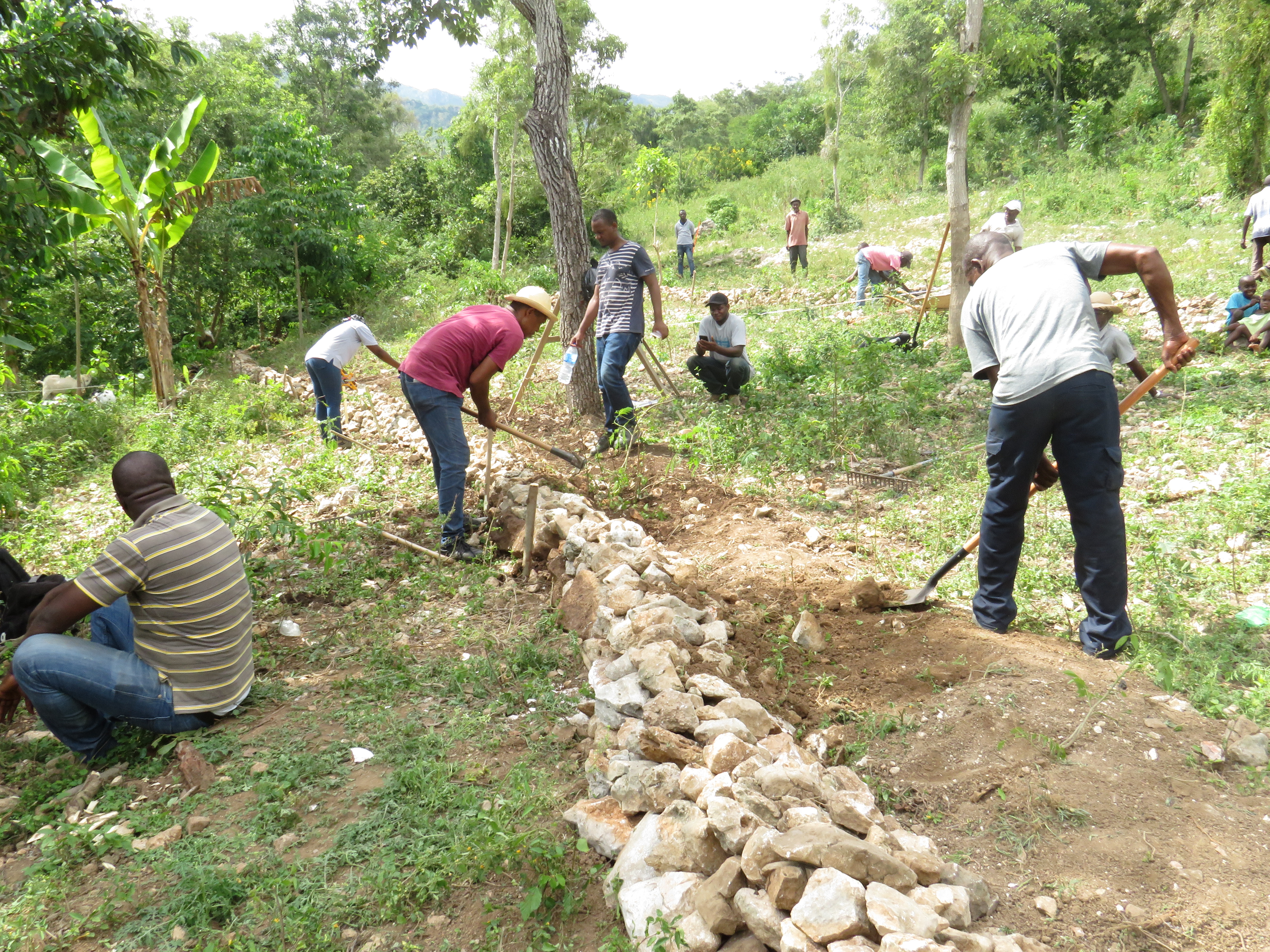 Farmers in Haiti building soil conservation barriers.