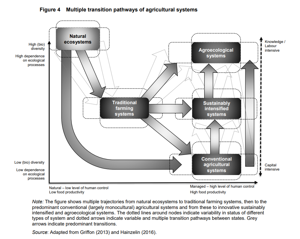 HLPE Agroecology Report Figure 4