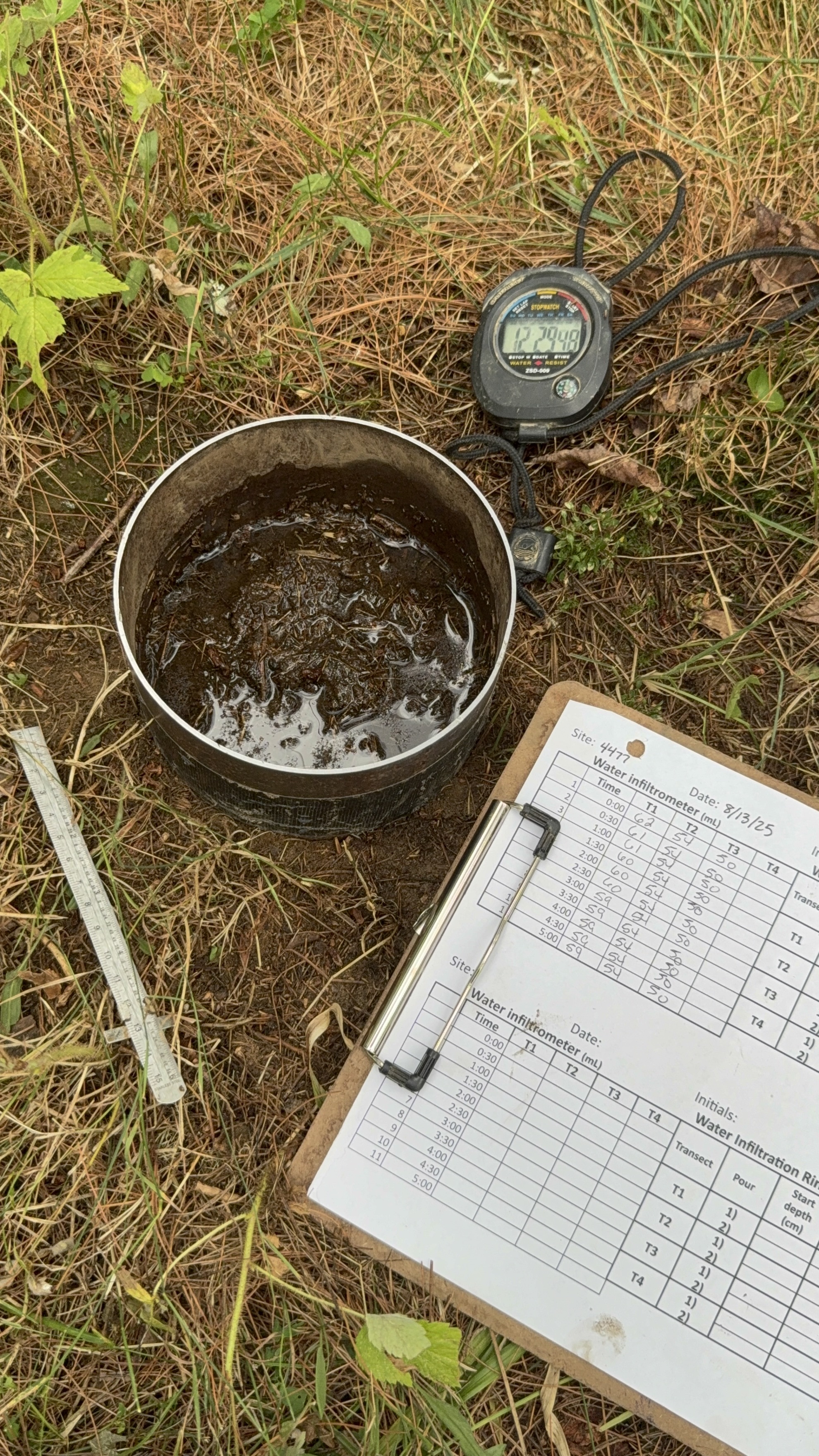 Patch of grass, wet area, stopwatch, and clipboard.