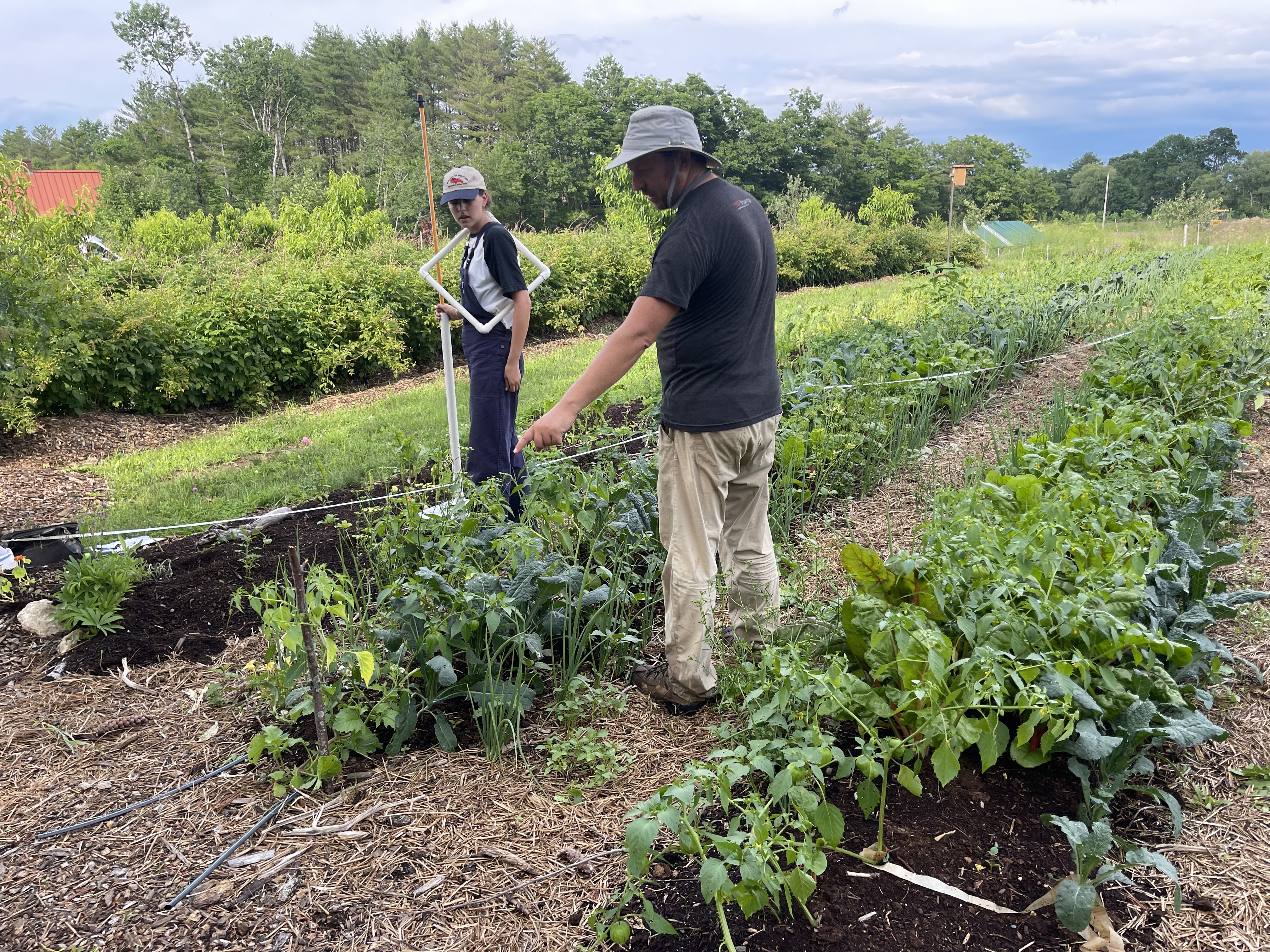 Two people standing in diverse crop rows