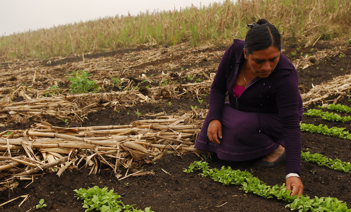 Rural Mexican woman - Esther, PC: Oxfam