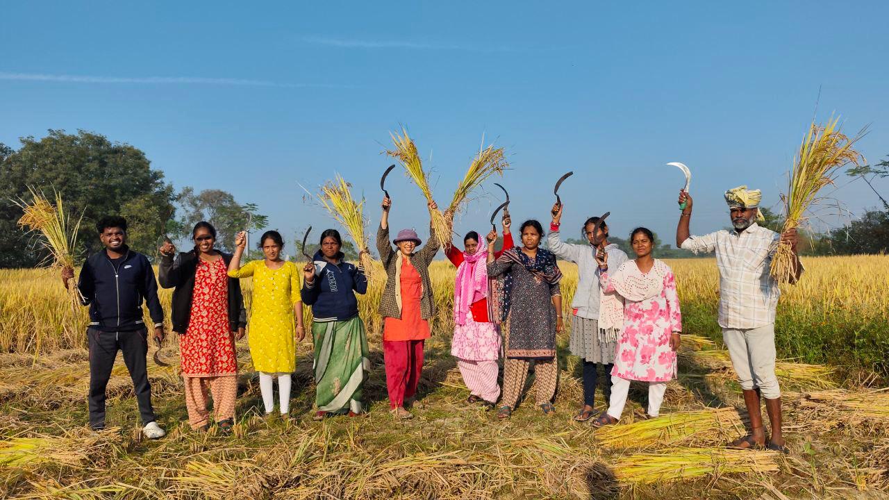 Group of 10 people wearing colorful clothing and holding up wheat bundles and sickles in a field