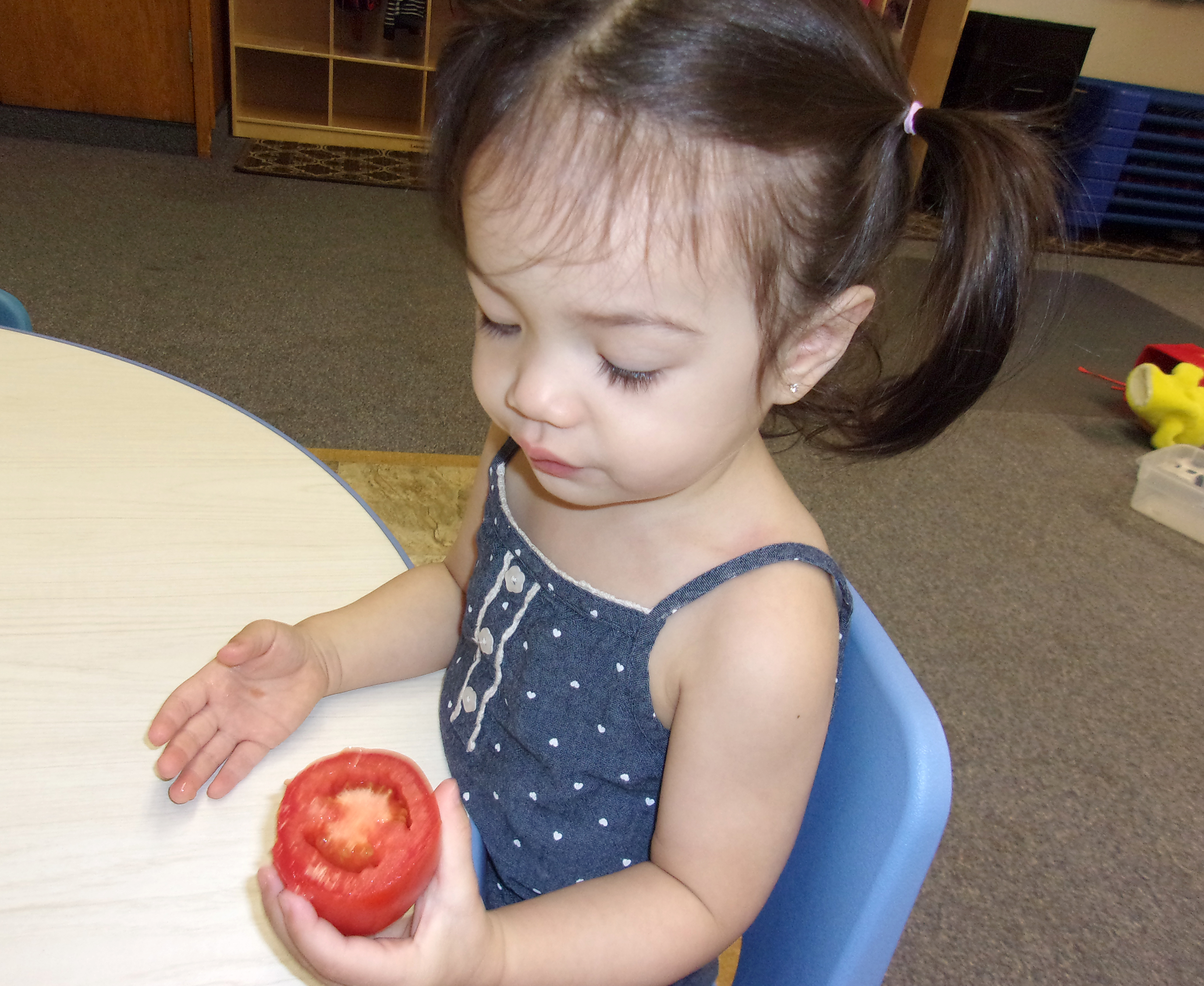 Head Start kid with a tomato