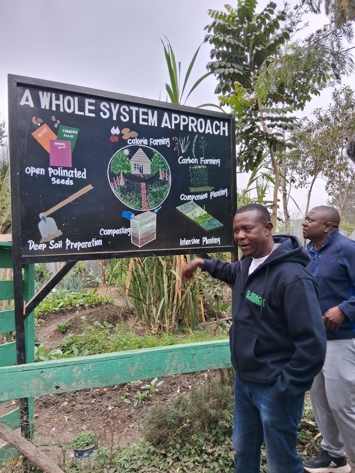 Whole systems approach diagram at G-BiACK