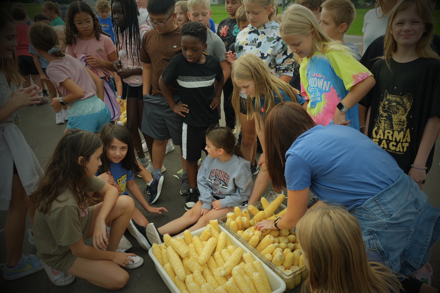 Fourth-graders participate in a corn-husking activity at Five Hawks Elementary School in Prior Lake during Farm to School Month.