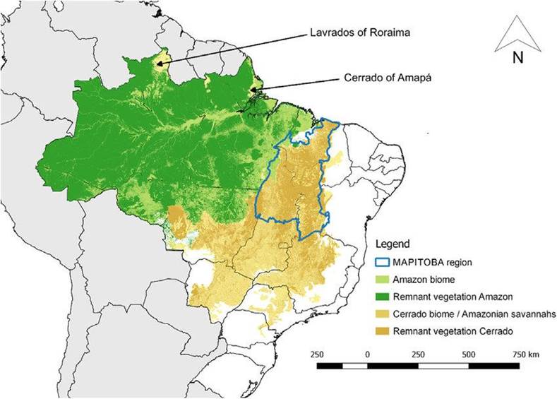 A map of brazil with different vegetation
AI-generated content may be incorrect.