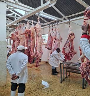 Slaughterhouse