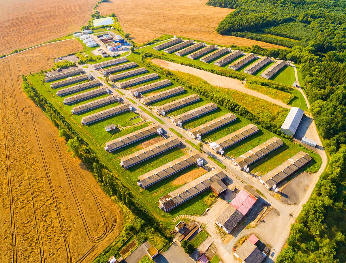 industrial farm buildings