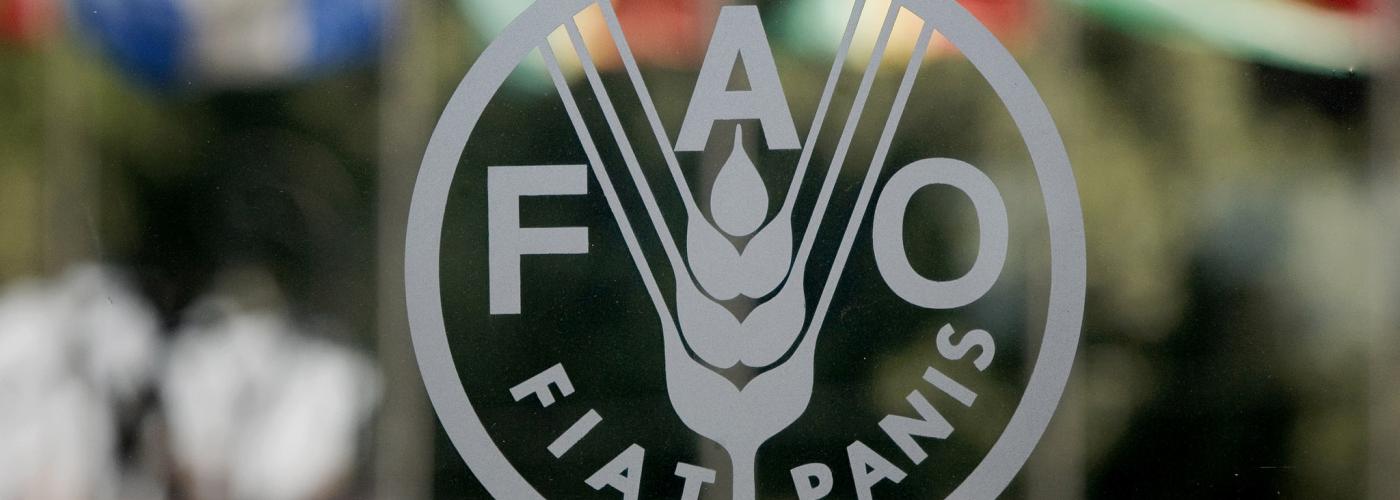 Scientists praise and challenge FAO on agroecology