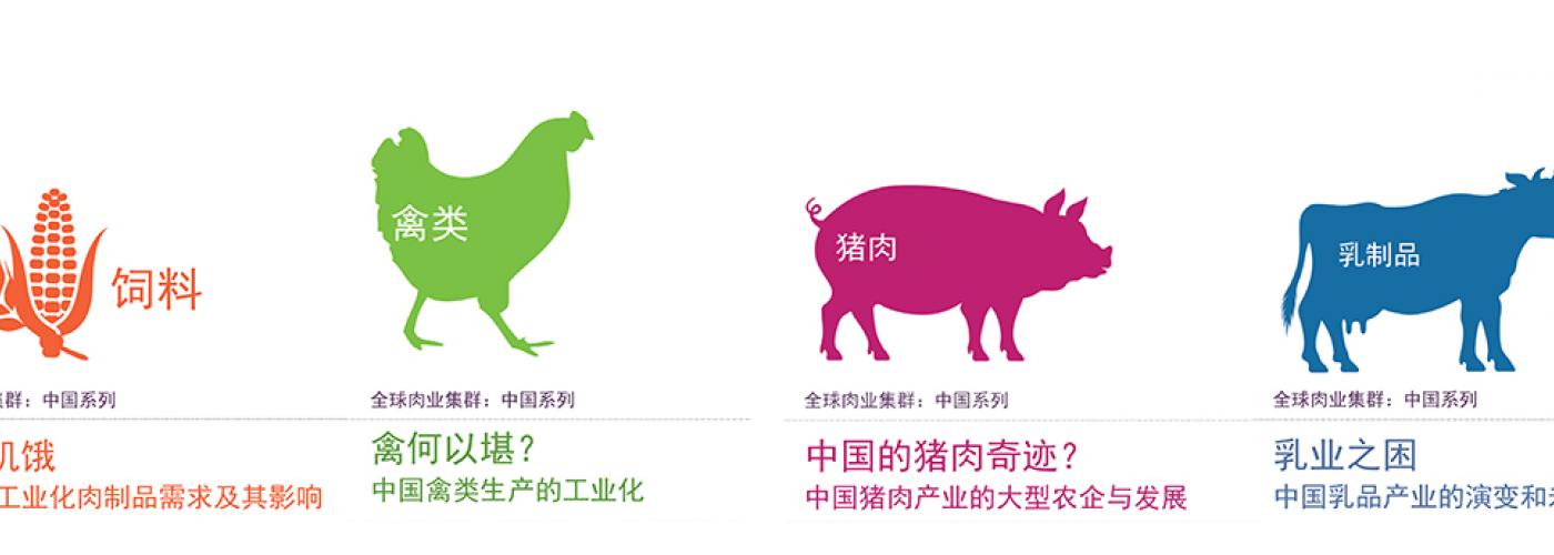 China meat series covers 