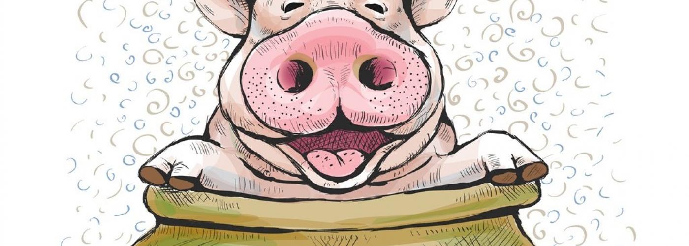 Pig in a Poke