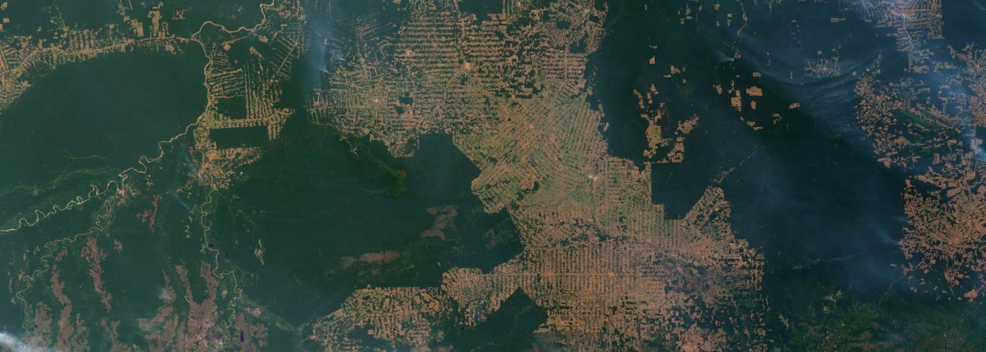 amazon rainforest destruction