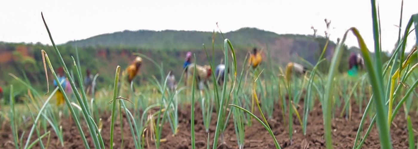 climate-smart soil