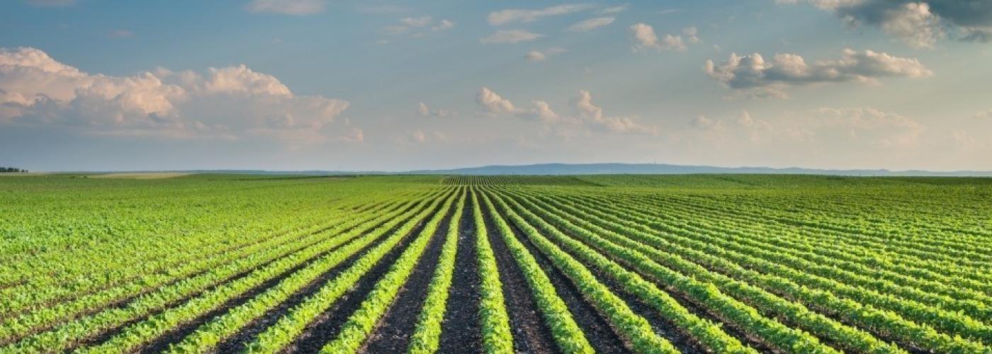 Rome Summit Takes Bold Step Toward Agroecology
