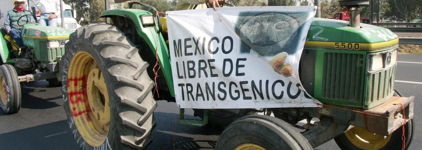 Tractor caravan to Mexico City farmer protest demands "Mexico Free of Transgenics"
