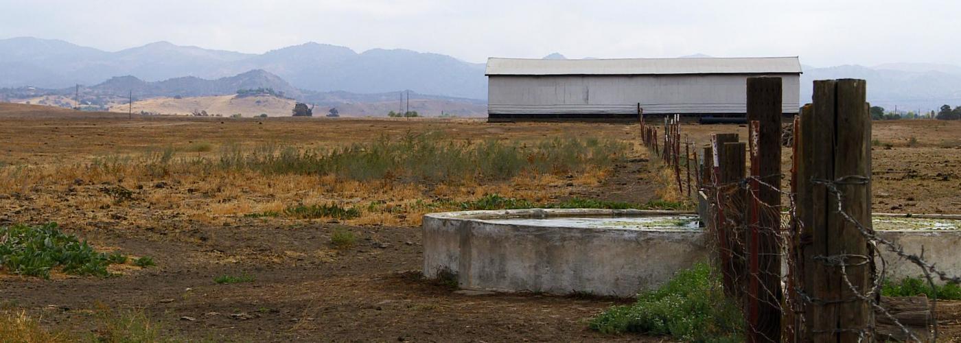 Drought damage on farm 