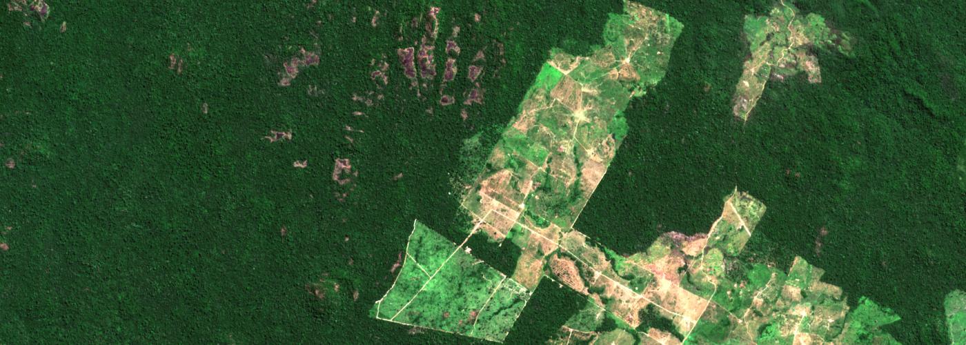 Deforestation in the Amazon