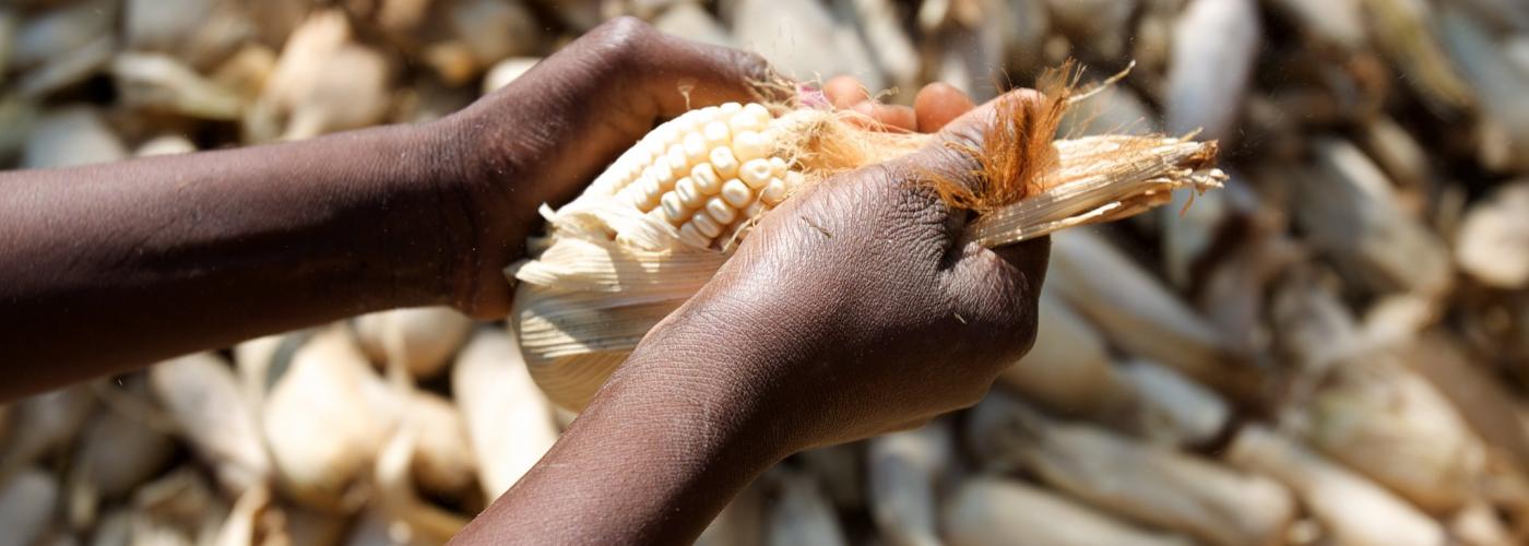 African food security 