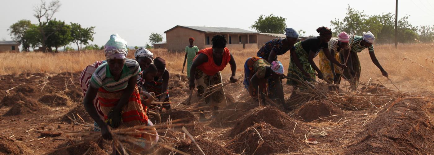 Agroecology farm work in Ghana
