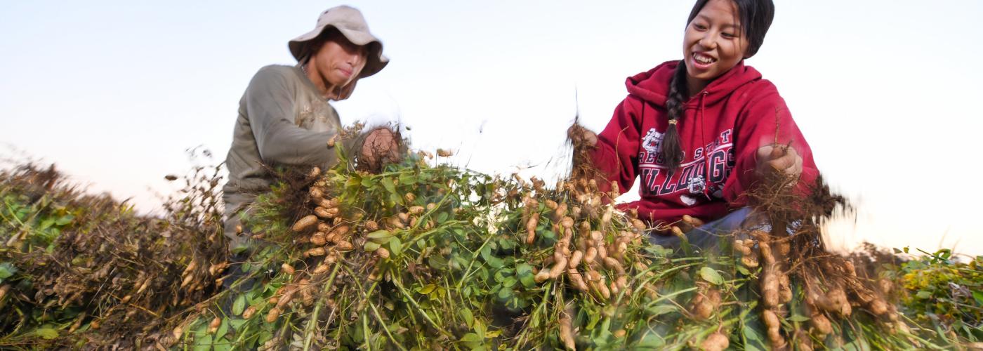 Hmong American farmer in California