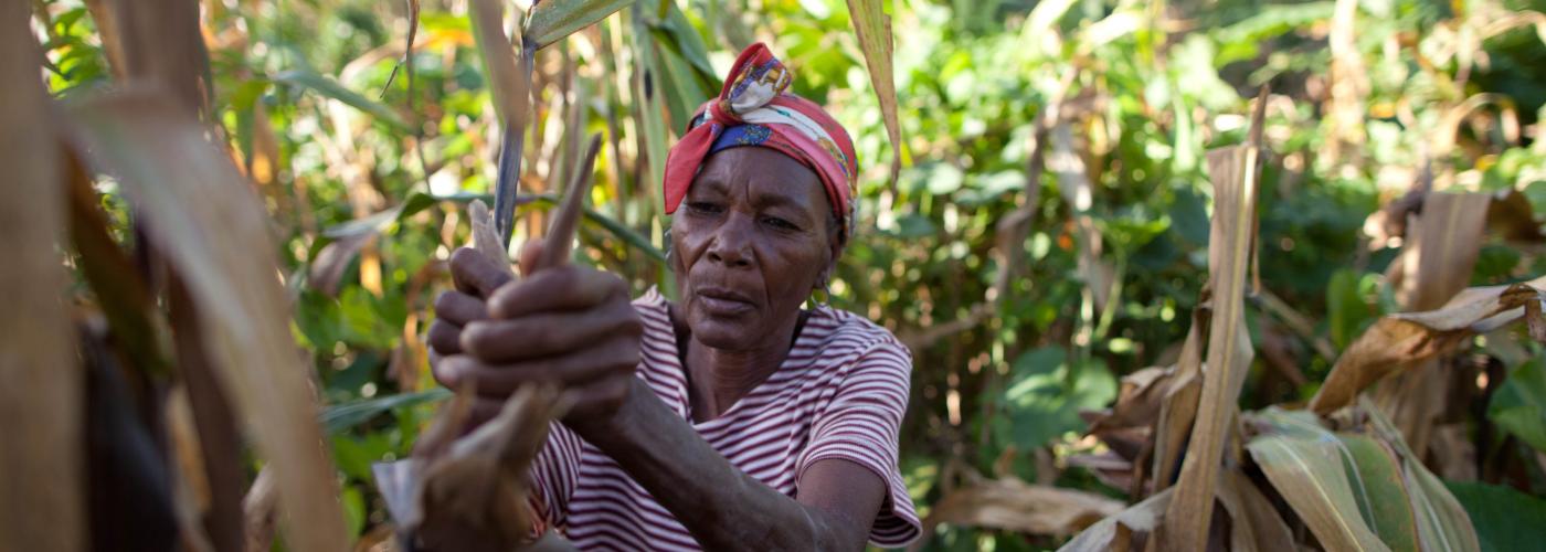 Agroecology is a Poverty Solution in Haiti