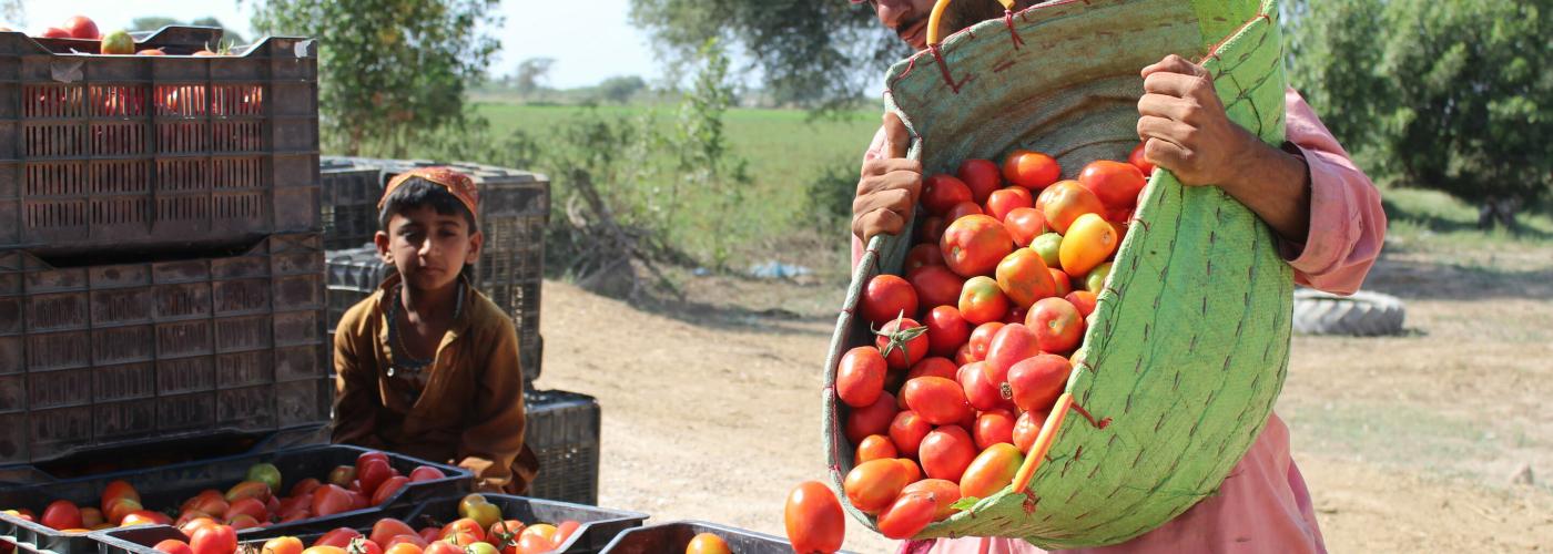 Pakistani Poverty Alleviation Fund and ITC offer finance solutions