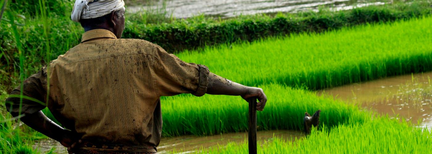 Farmer in field in India