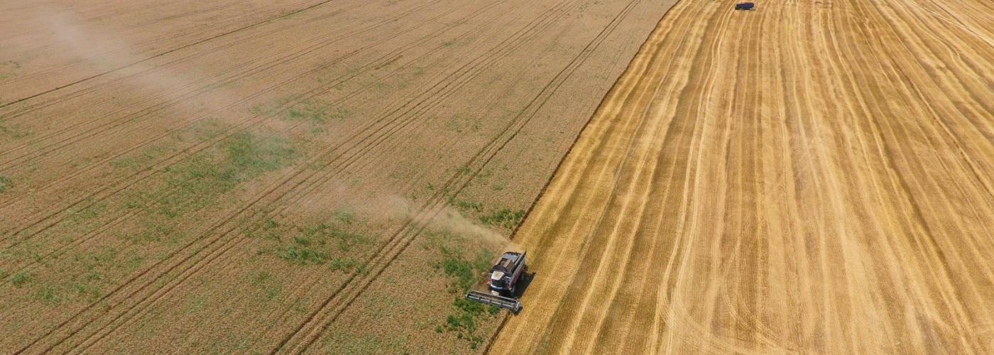 Farmer plants plows dusty field