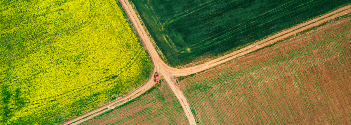 Aerial view of farm fields and road