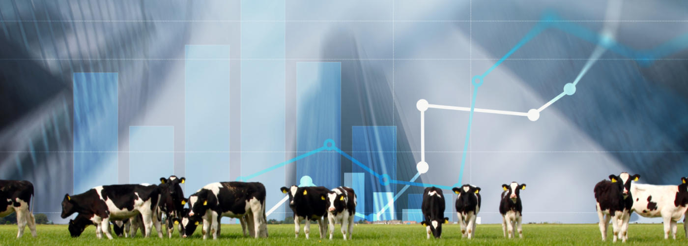 Cows in front of an abstract graph