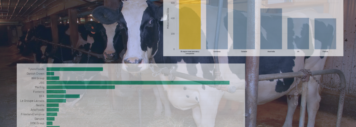 collage of graphs over cows