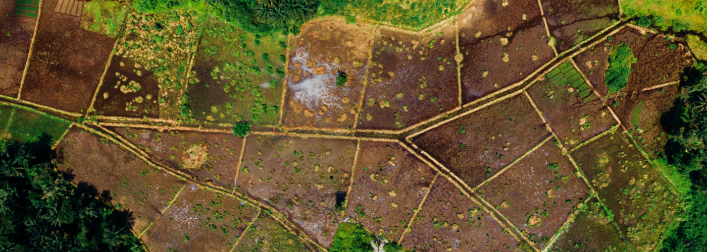 Aerial view of farmland