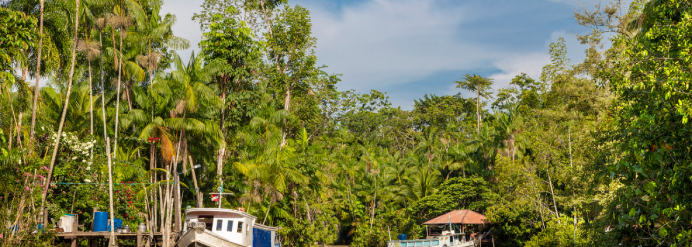Water, boats and rainforest in Belem, Brazil