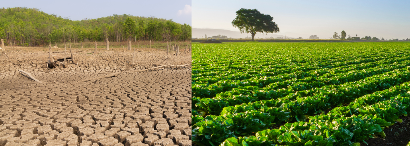 Farm images, half drought, half lush