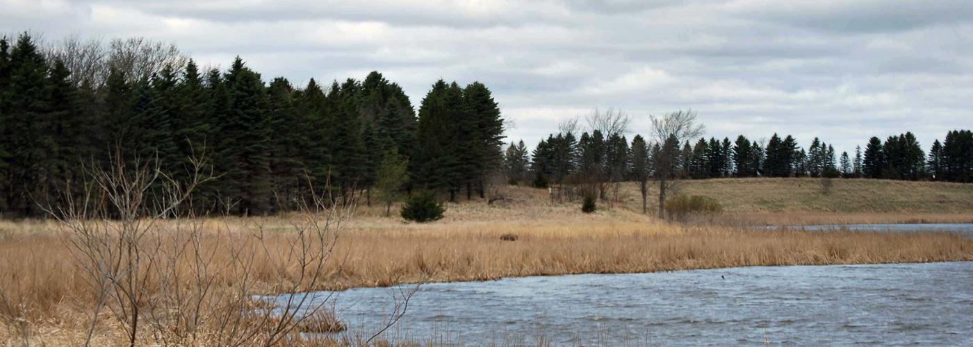 CRP land in Minnesota. Photo courtesy of USDA.