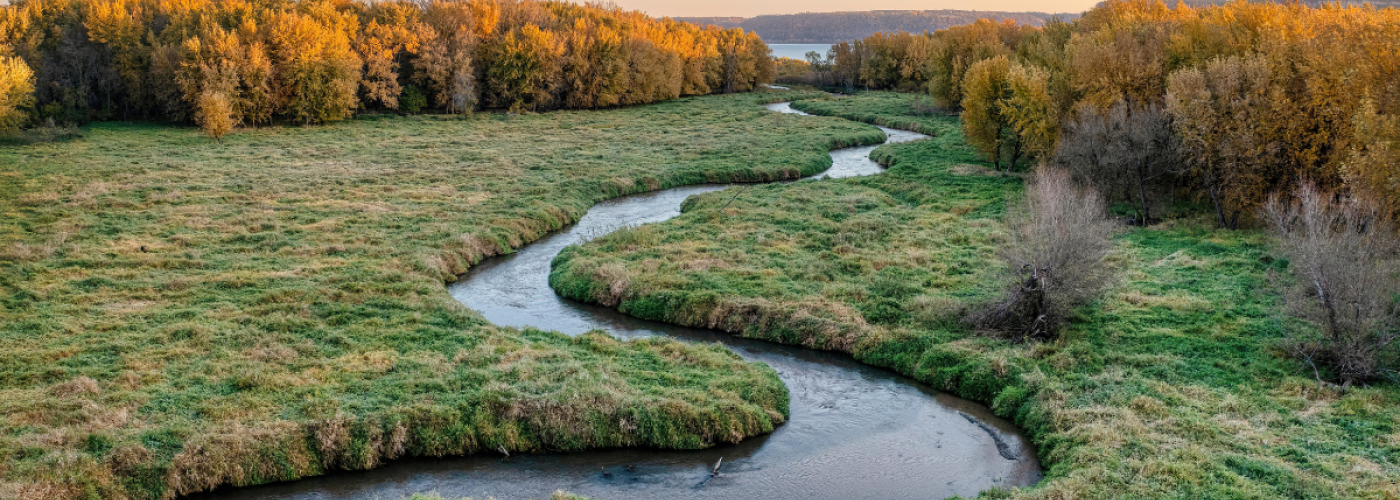 Minnesota landscape with winding river