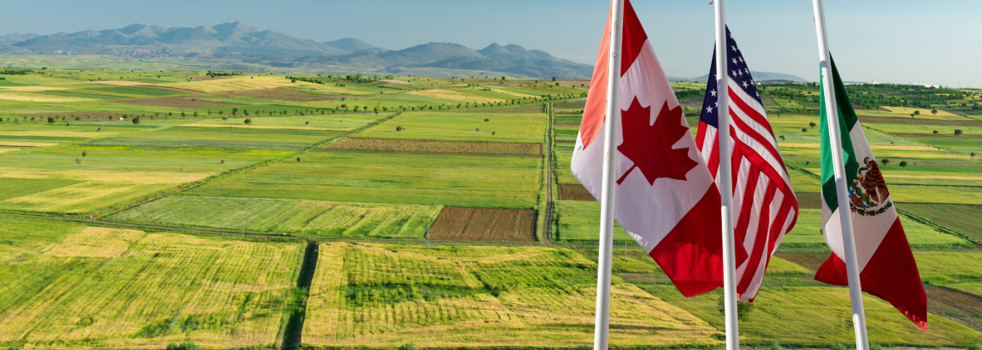 Canada, U.S. and Mexico flags over countryside landscape