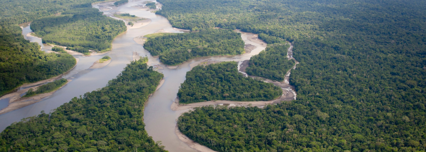 Amazon rainforest