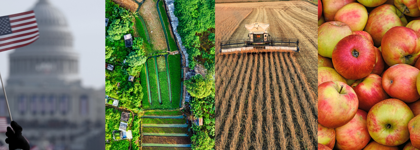 Photo collage of: U.S. capitol, aerial view of tropical farm, soybean harvest, apples