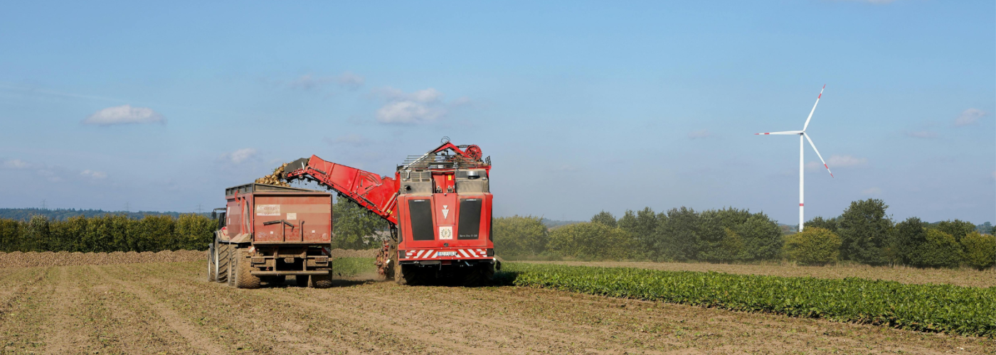 German sugar beet farm