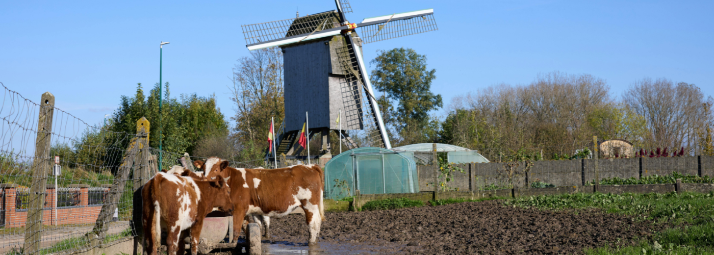 Europe farm